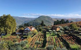 Quinta Vila Rachel - Winery